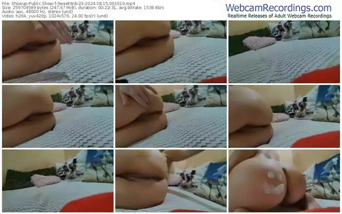 2024/08/15/showup-sweetwiki23-06-16-10