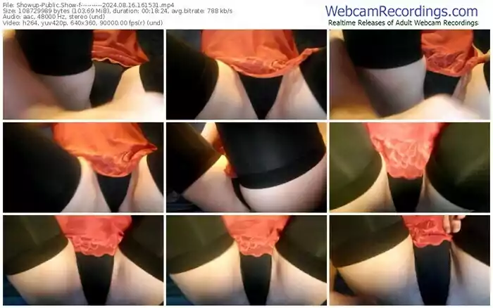 2024/08/16/showup----------16-15-31