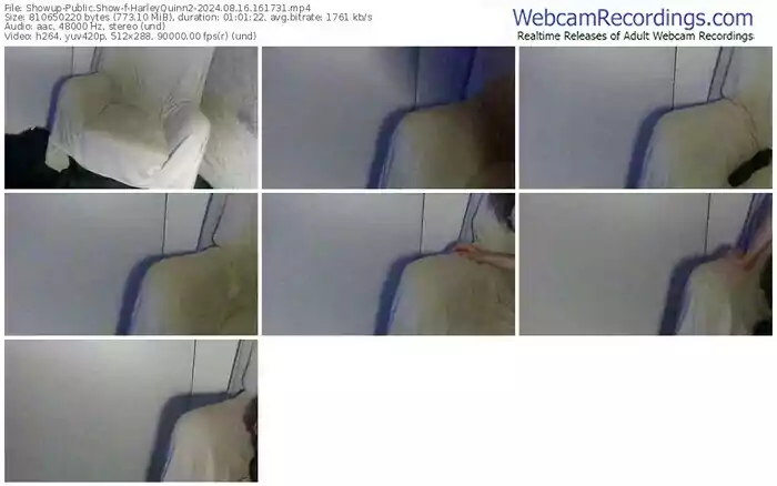2024/08/16/showup-harleyquinn2-16-17-31