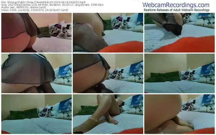 2024/08/16/showup-sweetwiki23-04-42-22