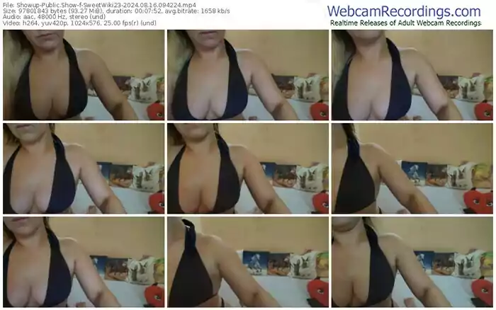 2024/08/16/showup-sweetwiki23-09-42-24