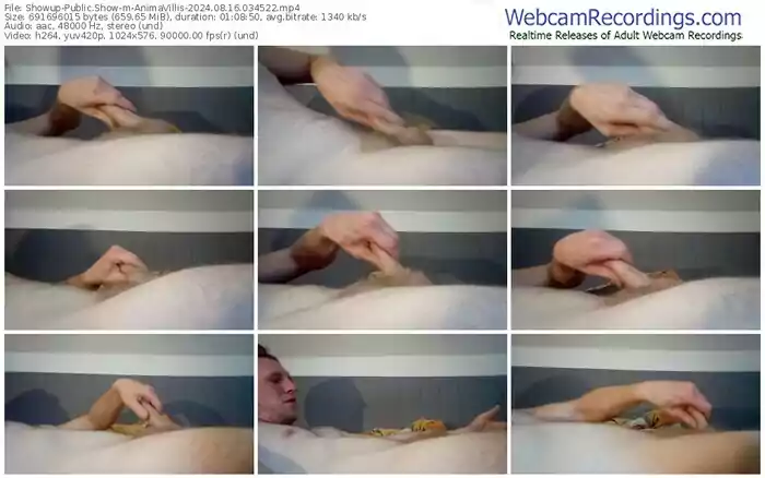 2024/08/16/showup-animavillis-03-45-22