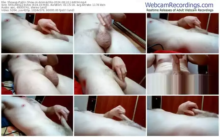 2024/08/16/showup-animavillis-14-49-34