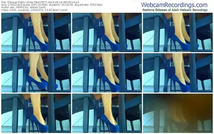 2024/08/18/showup-bastett-08-04-53