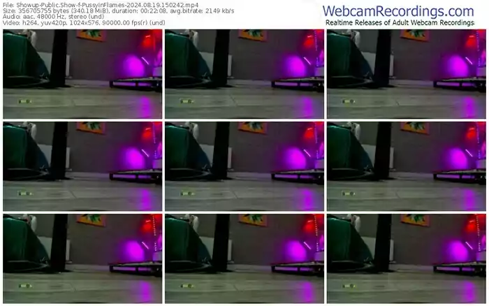 2024/08/19/showup-pussyinflames-15-02-42