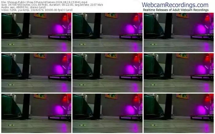 2024/08/19/showup-pussyinflames-15-30-41