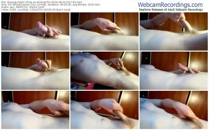 2024/08/20/showup-animavillis-03-17-40