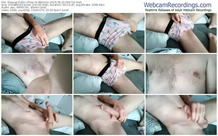 2024/08/20/showup-bibimon-06-47-16