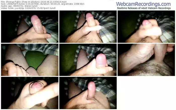 2024/08/21/showup-alladyn1-03-04-16