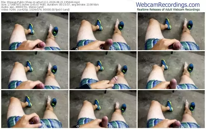 2024/08/21/showup-artur1111-19-54-44