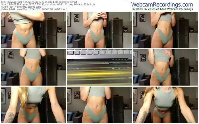 2024/08/22/showup-mini_mouse-08-27-22