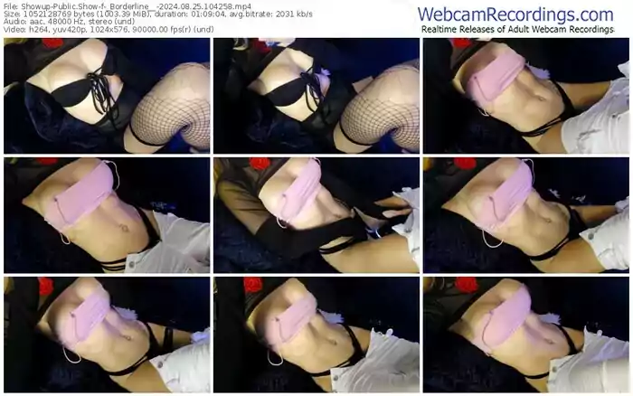 2024/08/25/showup-_borderline__-10-42-58