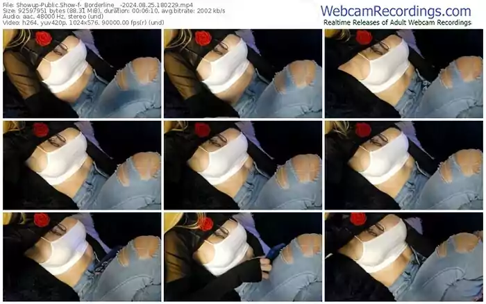 2024/08/25/showup-_borderline__-18-02-29