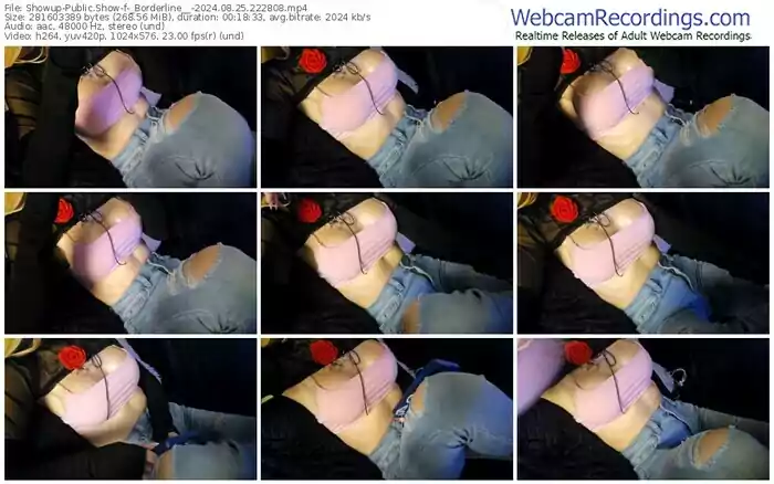 2024/08/25/showup-_borderline__-22-28-08