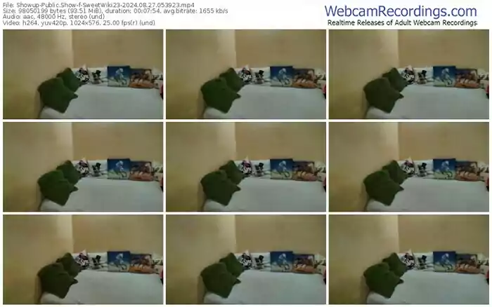 2024/08/27/showup-sweetwiki23-05-39-23