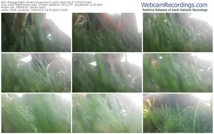 2024/08/27/showup-mrauu-kiciil_wrrrrr-15-02-43