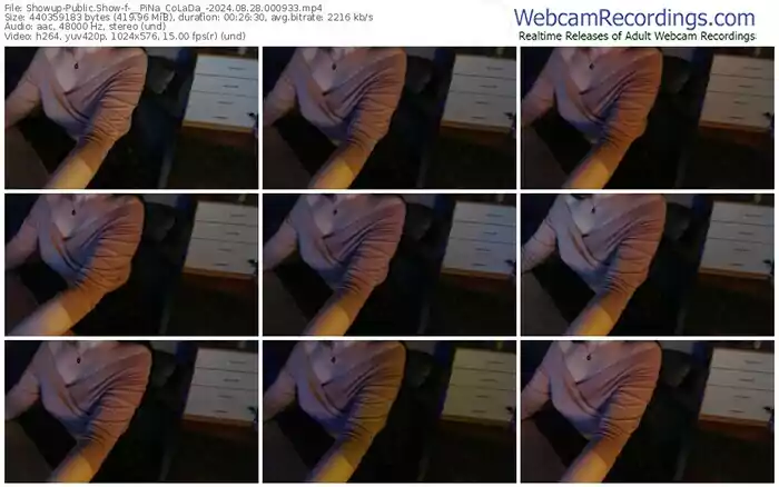 2024/08/28/showup-__pina_colada_-00-09-33