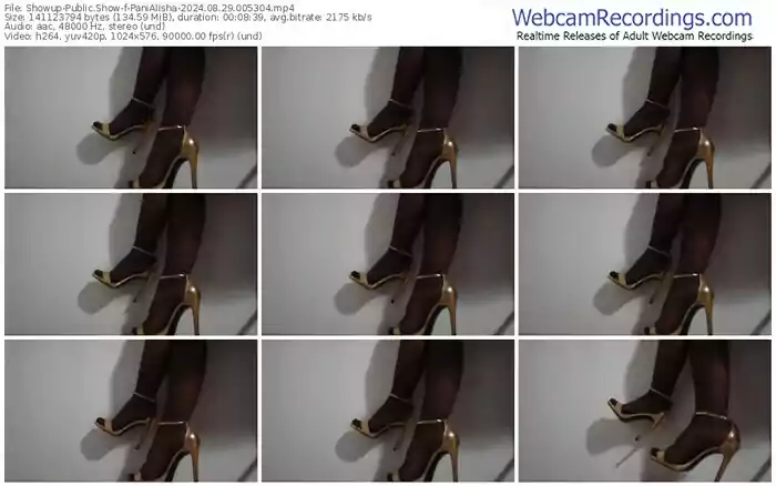 2024/08/29/showup-panialisha-00-53-04