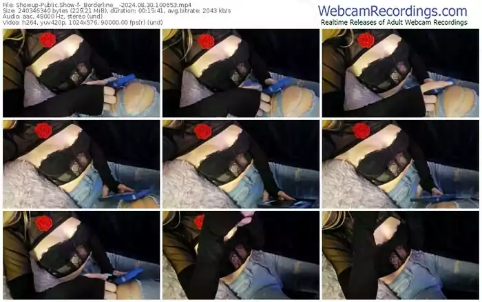 2024/08/30/showup-_borderline__-10-06-53