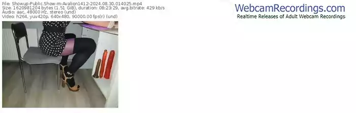 2024/08/30/showup-avalion1412-01-40-25