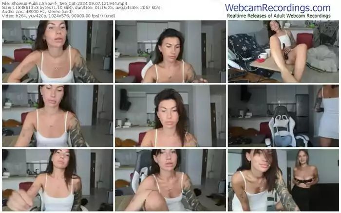 2024/09/07/showup-_two_cat-12-19-44