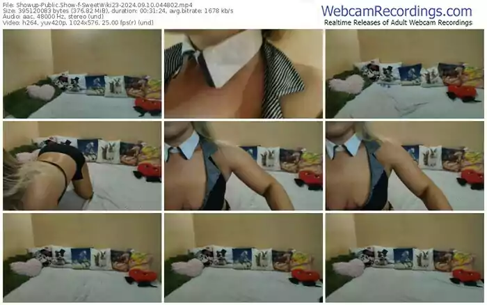 2024/09/10/showup-sweetwiki23-04-48-02