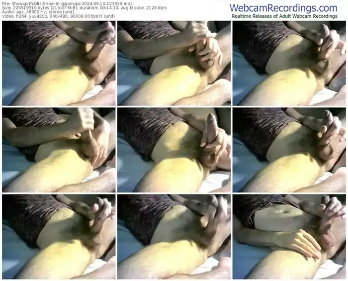 2024/09/10/showup-gajomajo-12-36-36