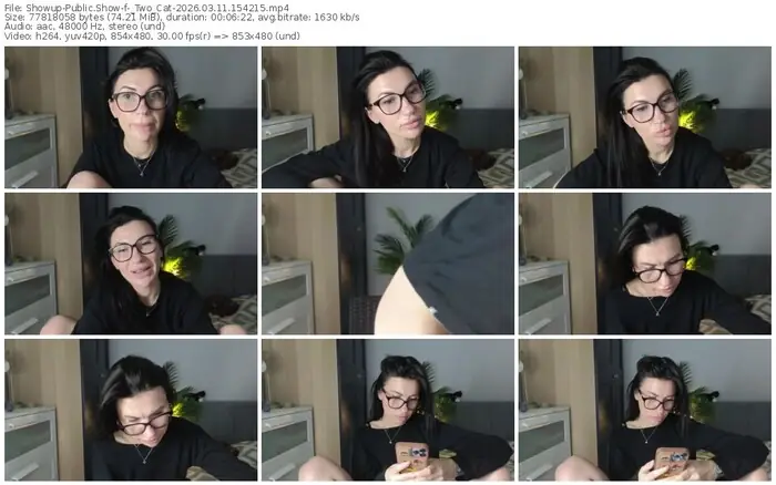 2026/03/11/showup-_two_cat-15-42-15