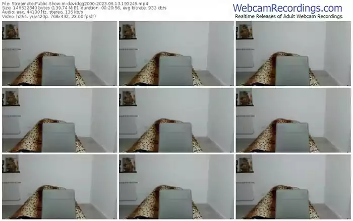 2023/06/13/streamate-davidgg2000-19-32-49