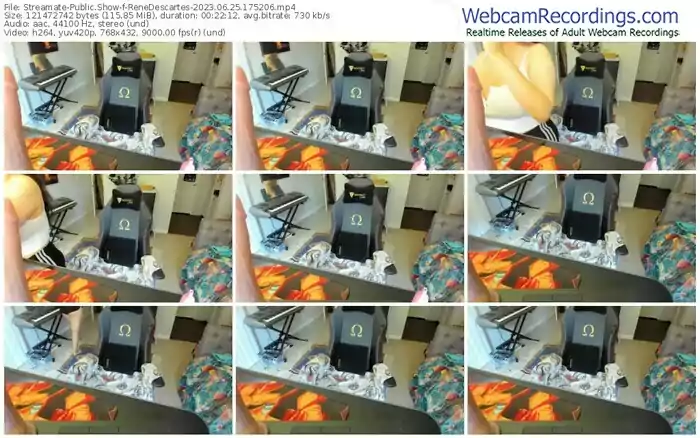 2023/06/25/streamate-renedescartes-17-52-06