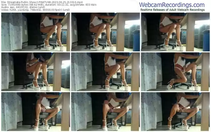 2023/06/25/streamate-pinktv68-21-33-16