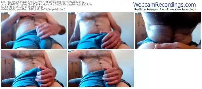 2023/06/27/streamate-woodiesays-22-41-04