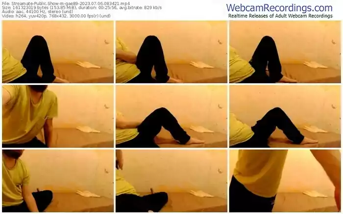 2023/07/06/streamate-gae89-08-34-21