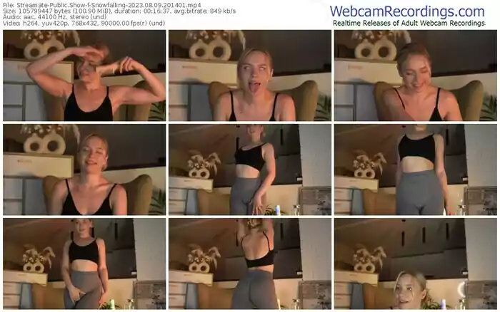 2023/08/09/streamate-snowfalling-20-14-01