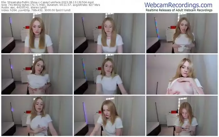 2023/08/13/streamate-caseycumface-19-15-04