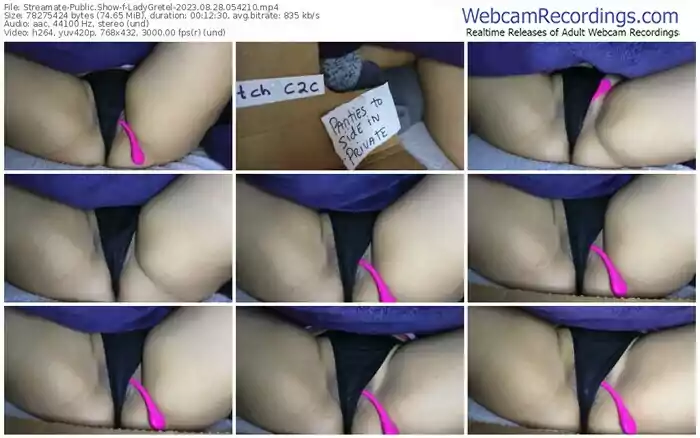 2023/08/28/streamate-ladygretel-05-42-10