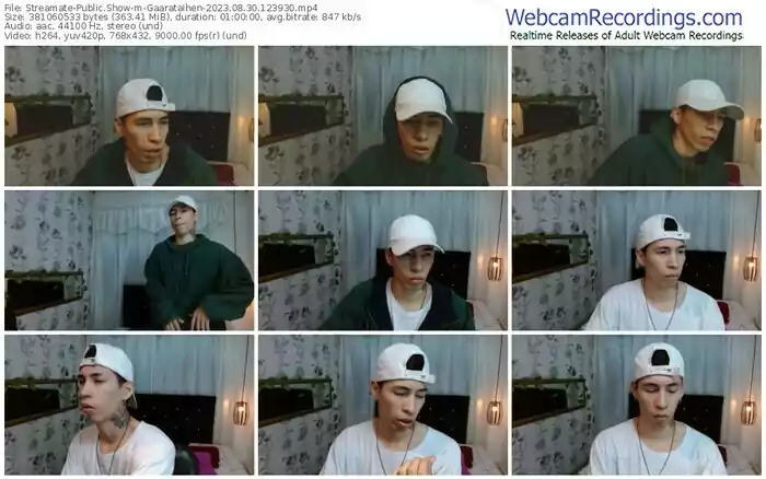 2023/08/30/streamate-gaarataihen-12-39-30