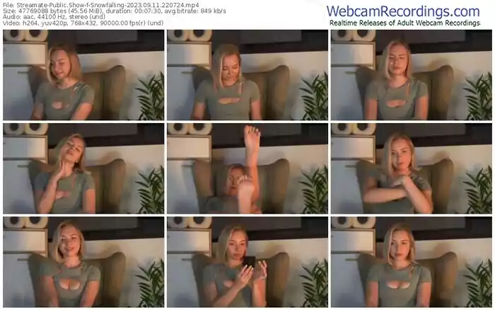 2023/09/11/streamate-snowfalling-22-07-24