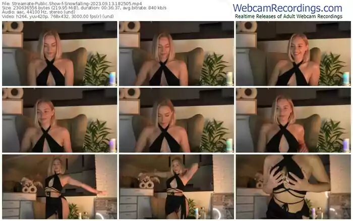 2023/09/13/streamate-snowfalling-18-25-05