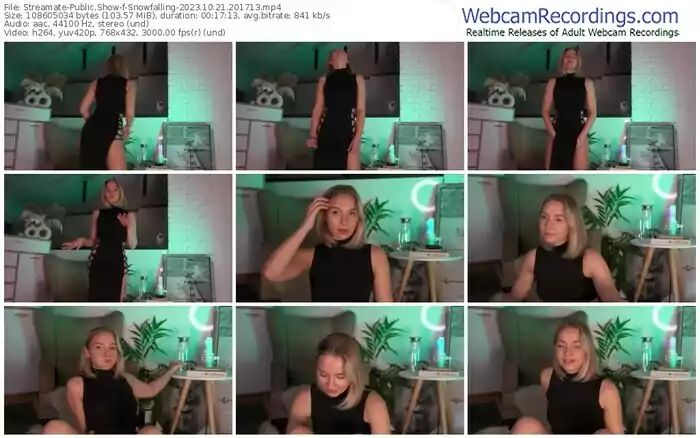 2023/10/21/streamate-snowfalling-20-17-13