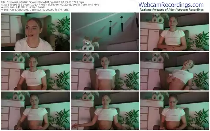 2023/10/23/streamate-snowfalling-21-57-29