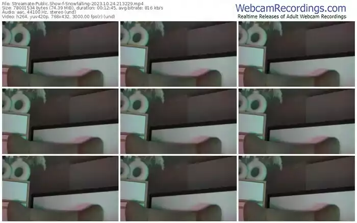 2023/10/24/streamate-snowfalling-21-32-29