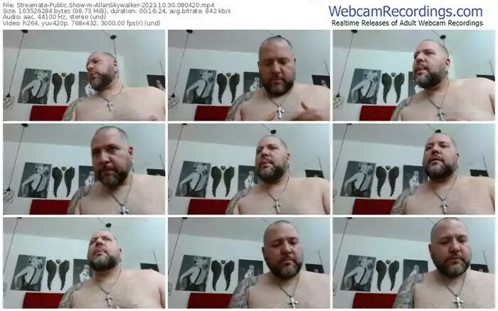 2023/10/30/streamate-allanskywalker-08-04-20