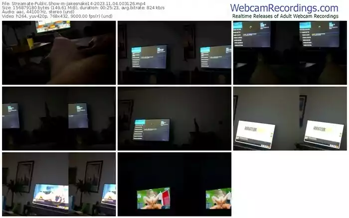 2023/11/04/streamate-jakesnake14-00-31-26