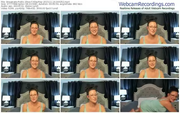 2023/11/16/streamate-alleymay-04-42-52