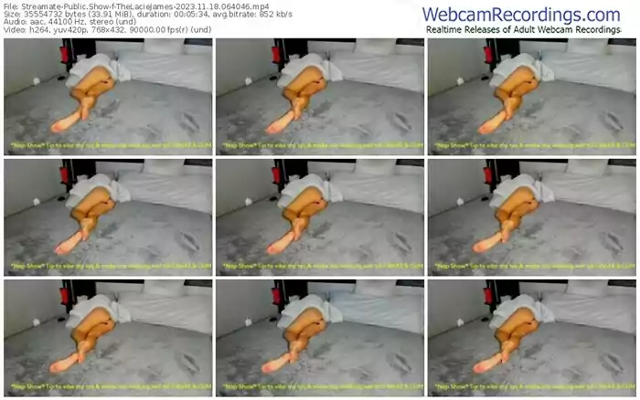 2023/11/18/streamate-thelaciejames-06-40-46