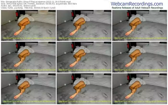 2023/11/18/streamate-thelaciejames-07-56-40