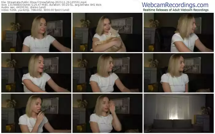 2023/11/29/streamate-snowfalling-16-55-31