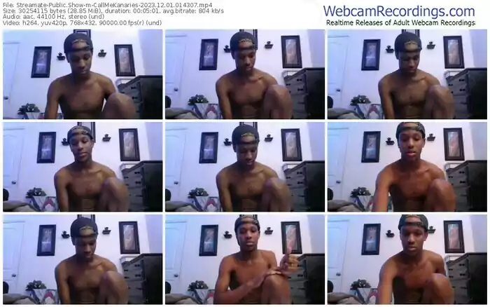 2023/12/01/streamate-callmekanaries-01-43-07