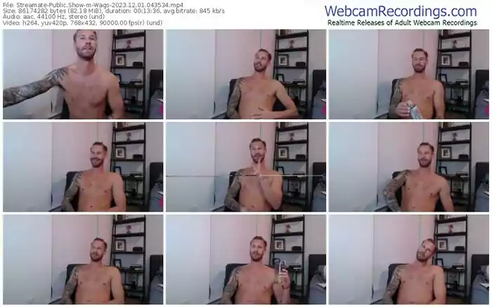 2023/12/01/streamate-wags-04-35-34